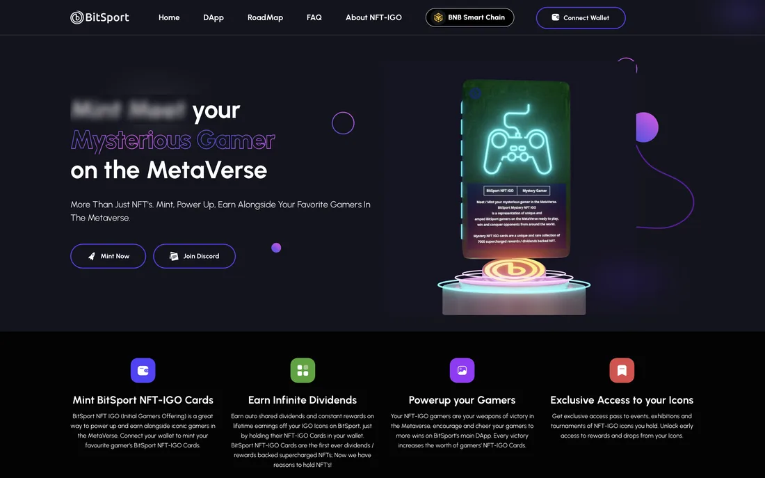 BitSport — the home page