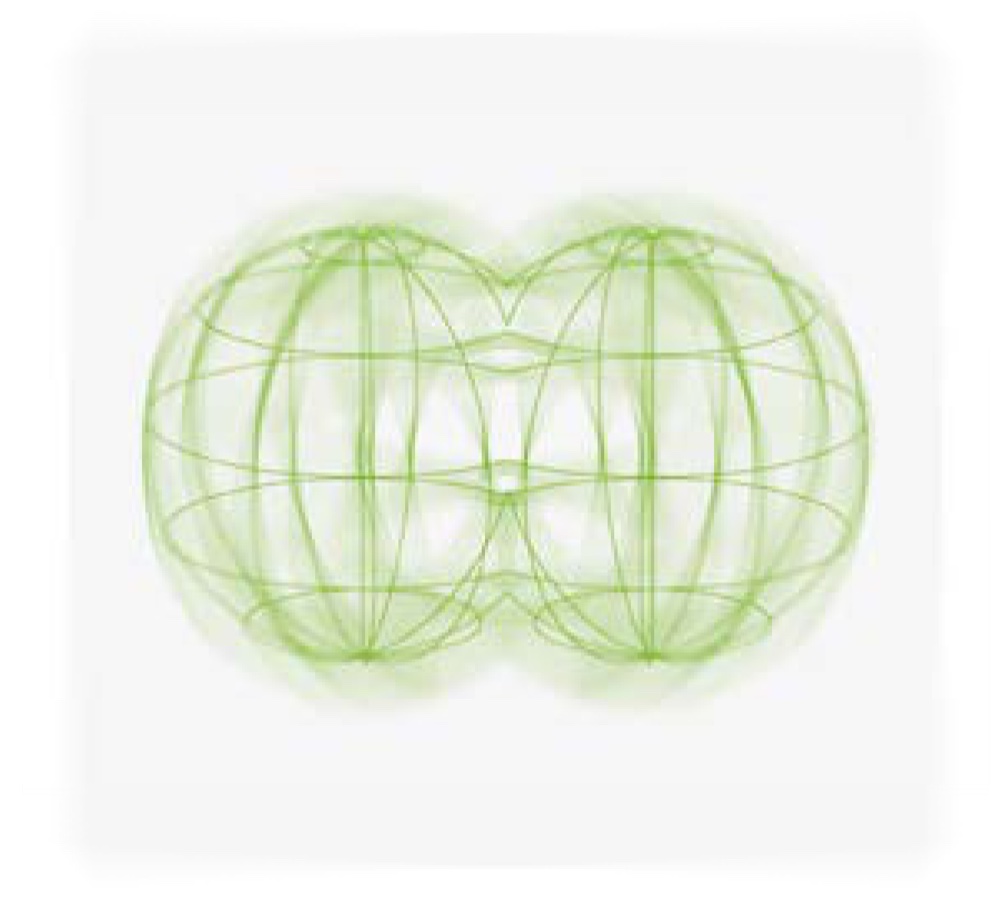 Fission — one company becoming two